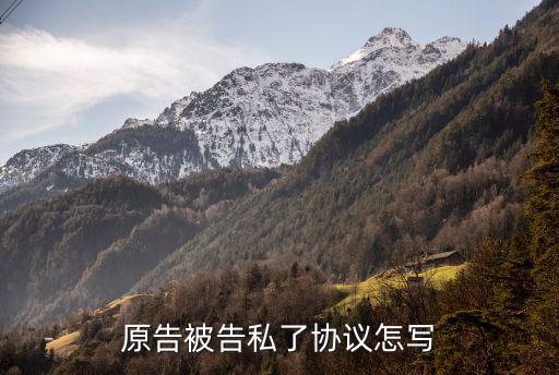 民事糾紛私了協(xié)議書(shū)注意什么，原告被告私了協(xié)議怎寫(xiě)