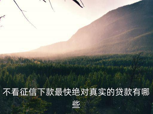 不查征信有車必下的貸款，不看征信下款最快絕對(duì)真實(shí)的貸款有哪些
