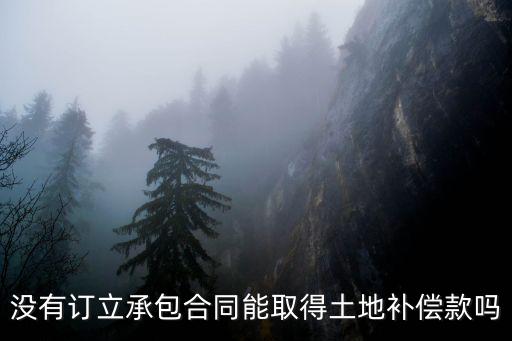 沒(méi)有訂立承包合同能取得土地補(bǔ)償款嗎