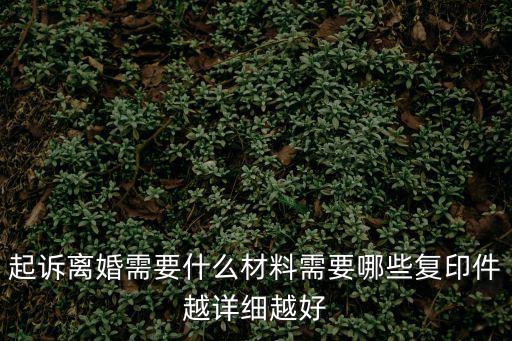 起訴離婚流程需要什么材料，起訴離婚需要什么材料