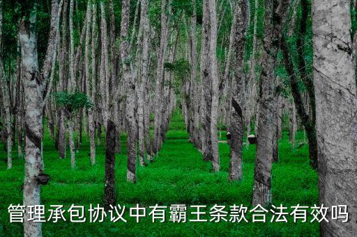 合同霸王條款到底有效嗎，房產(chǎn)中介合同出現(xiàn)霸王條款合同是否有效