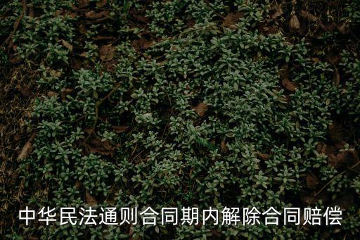中華民法通則合同期內(nèi)解除合同賠償