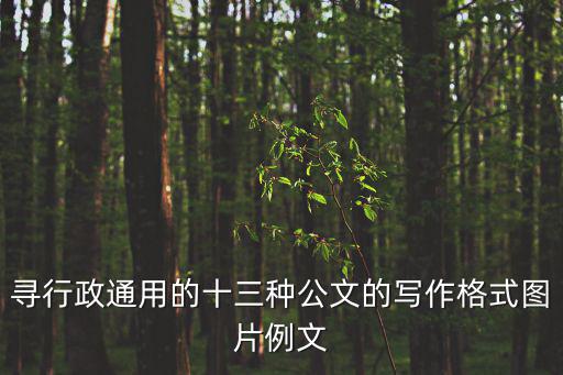 尋行政通用的十三種公文的寫作格式圖片例文