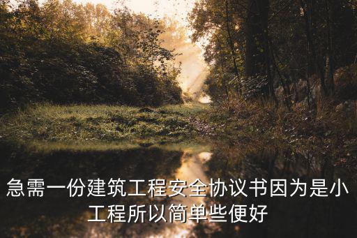 急需一份建筑工程安全協(xié)議書(shū)因?yàn)槭切」こ趟院?jiǎn)單些便好
