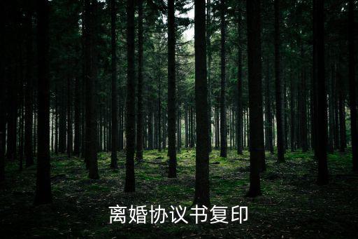 離婚協(xié)議書復(fù)印
