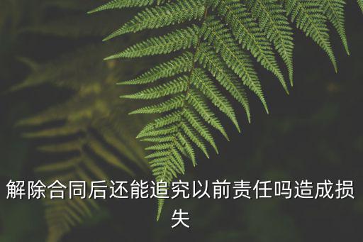 合同已解除還能追責(zé)嗎，解除合同還能要求承擔(dān)違約責(zé)任嗎