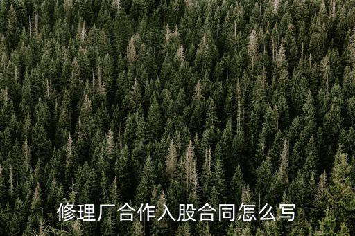修理廠轉(zhuǎn)讓合同怎樣寫有效，一般摩托維修店二手摩托車轉(zhuǎn)讓協(xié)議是怎么寫的