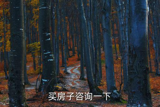 買房子咨詢一下