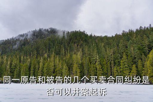 同一原告和被告的幾個買賣合同糾紛是否可以并案起訴