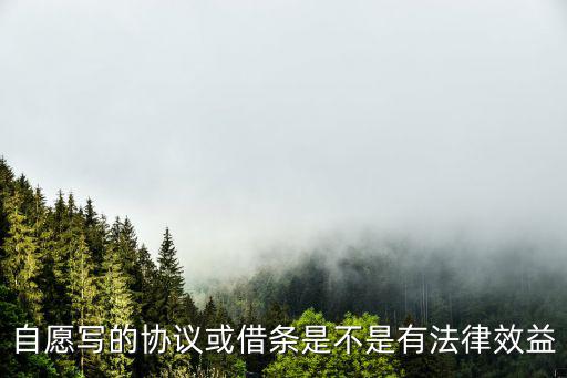 自己寫的借款協(xié)議書有法律效力嗎，自己定的借款款協(xié)議有法律作用嗎