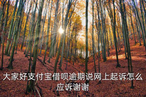 借唄無力還款最佳處理方法起訴，在支付寶的螞蟻借唄借三十多萬沒能力還款該怎么辦