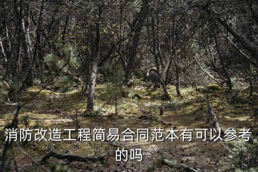 消防改造工程簡(jiǎn)易合同范本有可以參考的嗎