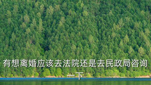 有想離婚應(yīng)該去法院還是去民政局咨詢一下