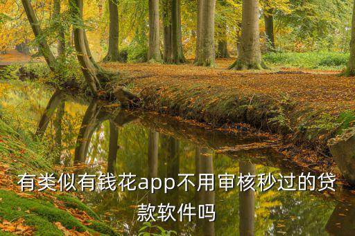 有類似有錢花app不用審核秒過的貸款軟件嗎