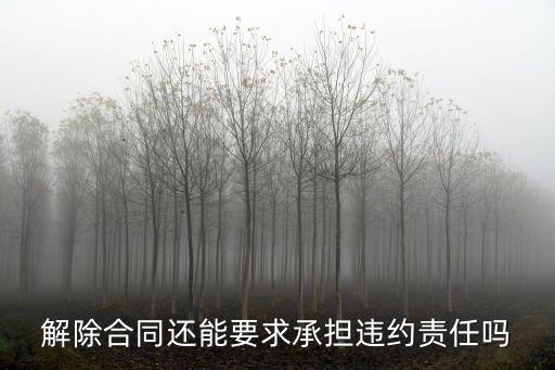 解除合同還能要求承擔(dān)違約責(zé)任嗎