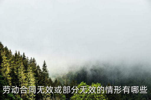 勞動合同無效或部分無效的情形有哪些