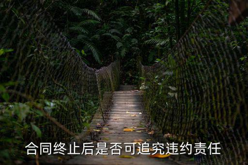 合同終止還能追究違約責(zé)任嗎，解除合同后可以主張違約責(zé)任嗎