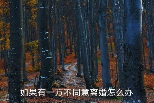 有一方不同意離婚應(yīng)該怎么辦理，如果有一方不同意離婚怎么辦