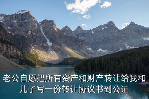 夫妻自愿財(cái)產(chǎn)轉(zhuǎn)讓協(xié)議書，老公同意把財(cái)產(chǎn)全給老婆協(xié)議怎么寫