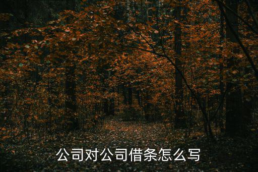 公司與公司借條怎么寫范本，公司借條格式范本