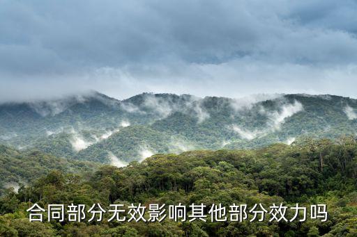 合同部分無效影響其他部分效力嗎