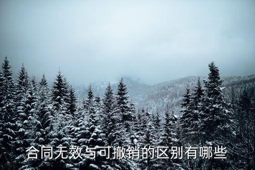 合同無(wú)效與可撤銷的區(qū)別有哪些
