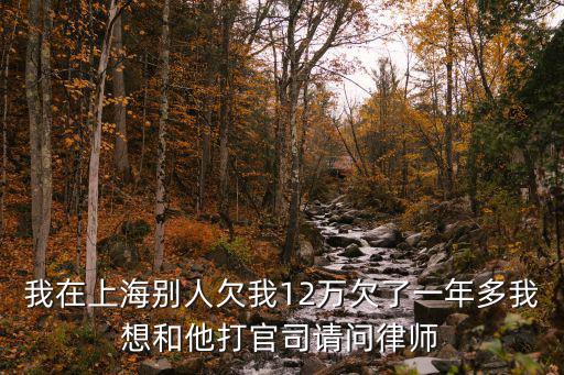 上海律師收費標(biāo)準(zhǔn)最新規(guī)定出臺，上海民事訴訟請律師的費用是多少怎樣支付費用
