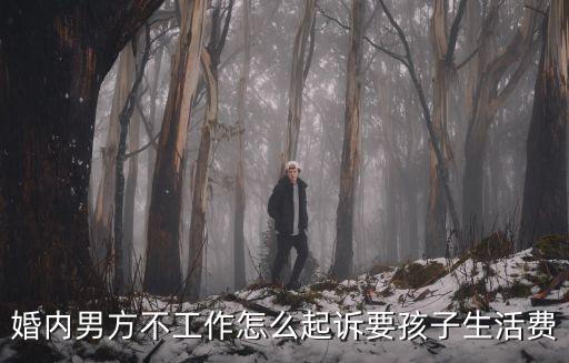 婚內(nèi)男方不工作怎么起訴要孩子生活費