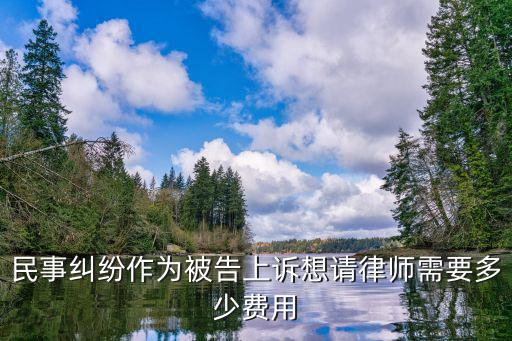 民事糾紛作為被告上訴想請律師需要多少費(fèi)用