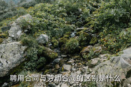 聘用合同與勞動(dòng)合同的區(qū)別是什么