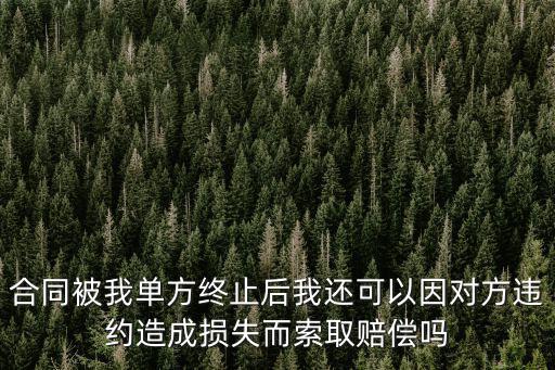 合同被我單方終止后我還可以因?qū)Ψ竭`約造成損失而索取賠償嗎