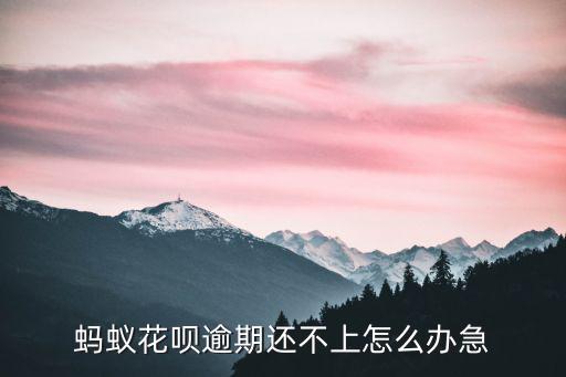 螞蟻花唄逾期還不上怎么辦急