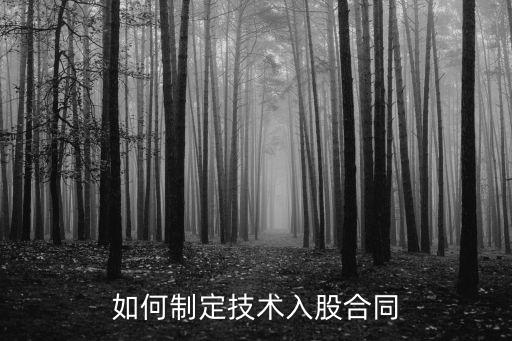 如何制定技術(shù)入股合同