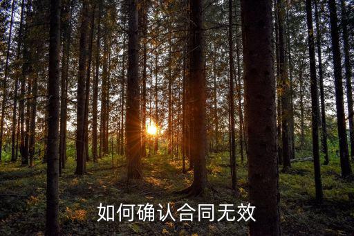 如何確認合同無效