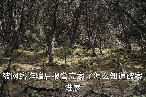 被網(wǎng)絡(luò)詐騙后報(bào)警立案了怎么知道破案進(jìn)展