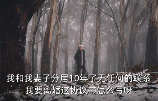 婚姻分居協(xié)議書范本，分居協(xié)議書范文2011