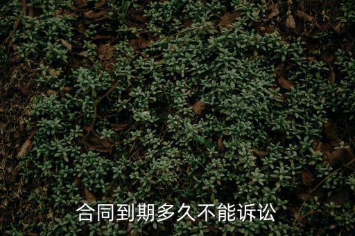 合同到期多久不能訴訟