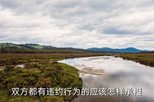 雙方都有違約行為的應(yīng)該怎樣承擔