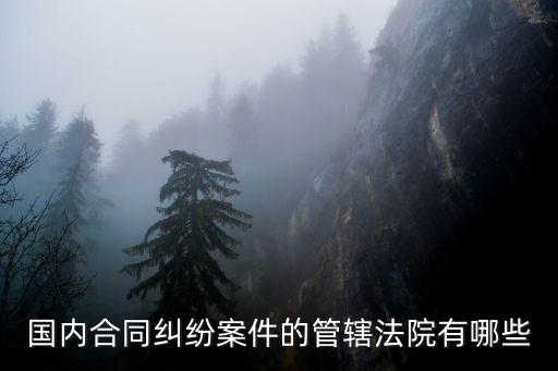 確認(rèn)合同無(wú)效糾紛的管轄法院，約定管轄無(wú)效的情形有哪些