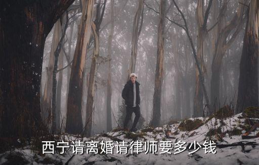 西寧請(qǐng)個(gè)律師大概多少錢(qián)，西寧咨詢(xún)律師要多少錢(qián)