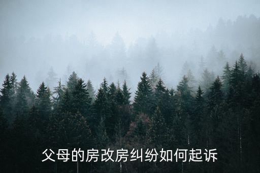 父母的房改房糾紛如何起訴