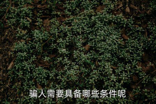 騙人需要具備哪些條件呢