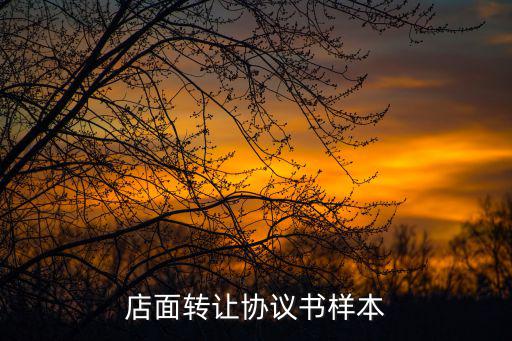 店鋪轉(zhuǎn)讓協(xié)議模板，門面轉(zhuǎn)讓合同書范本