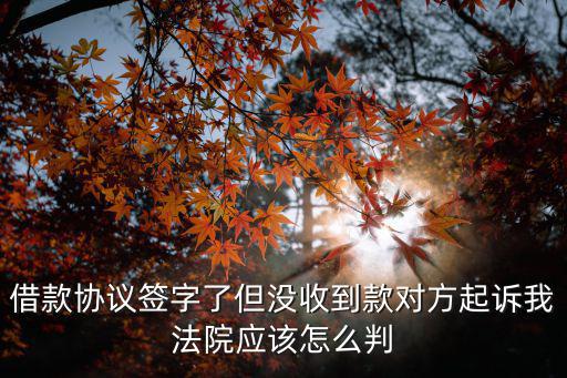 借款協(xié)議簽字了但沒收到款對方起訴我法院應該怎么判