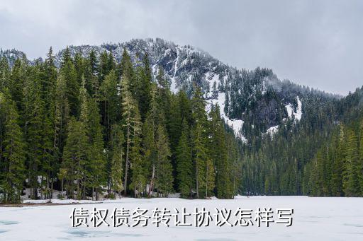 債務(wù)轉(zhuǎn)讓合同，什么是債權(quán)轉(zhuǎn)讓合同
