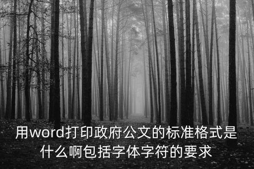政府格式要求，政府的 指導意見 格式要求有哪些