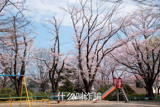什么叫詐騙