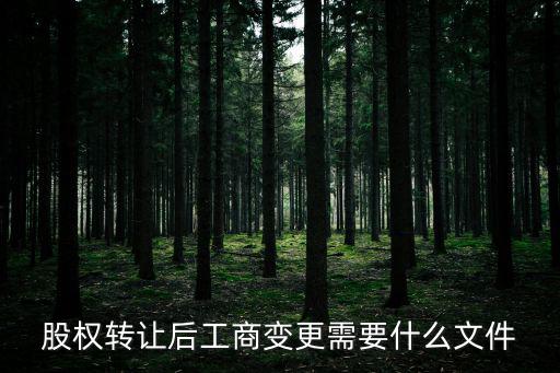 股權(quán)轉(zhuǎn)讓工商變更登記流程，股權(quán)變更工商手續(xù)