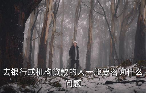 貸款咨詢，咨詢貸款問題