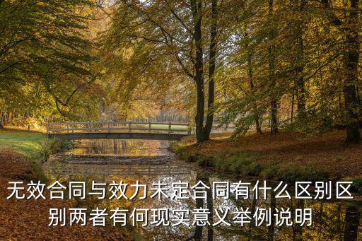 無效合同與效力未定合同有什么區(qū)別區(qū)別兩者有何現(xiàn)實(shí)意義舉例說明